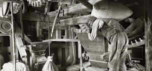 bild298976_v-standardBig_zc-3ad1f7a1